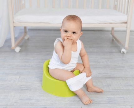 Flushable Toilet Wipes